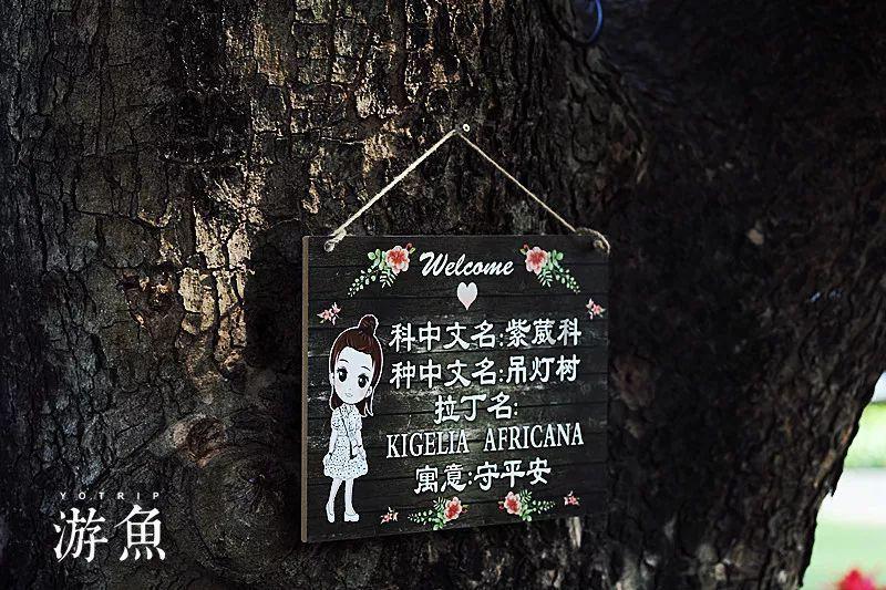哪些食物能补肾呢？