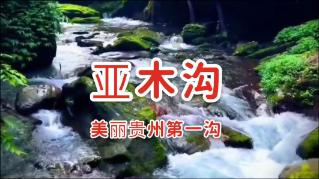 小猫钓鱼正版下载中文版