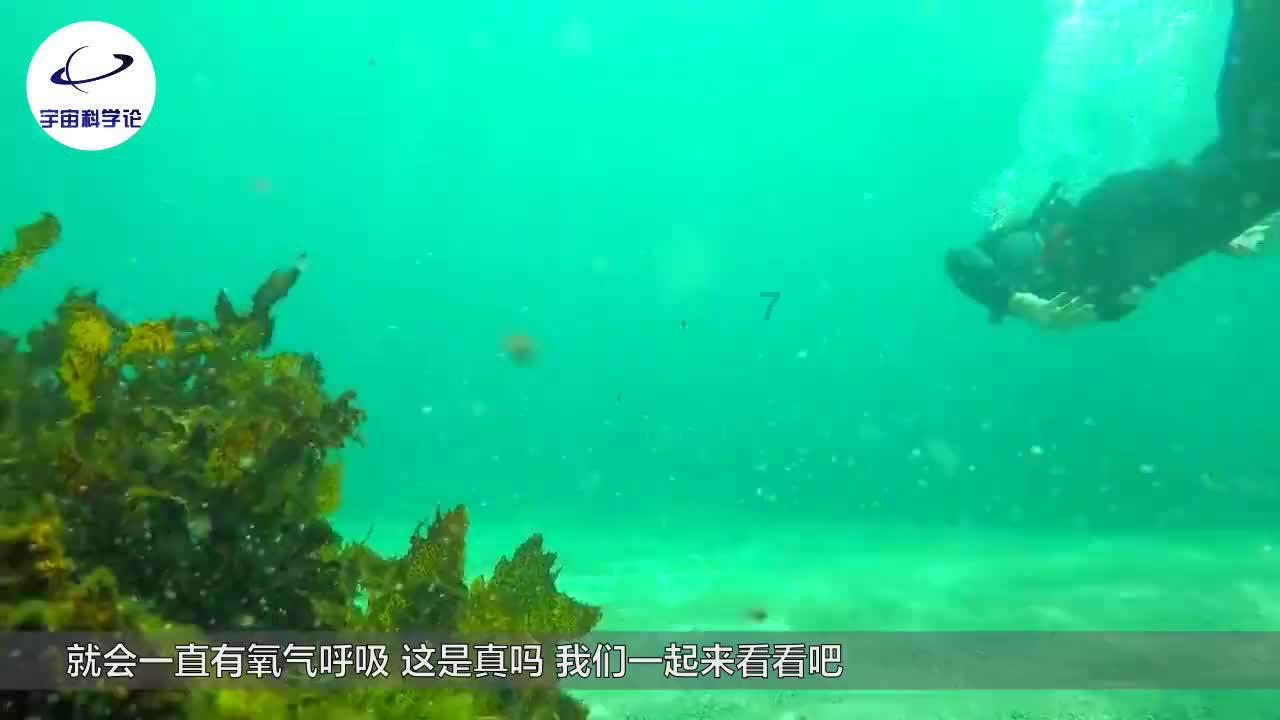 3116功放芯片的好坏怎么判断？