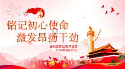 几何霓虹冲刺4无敌版