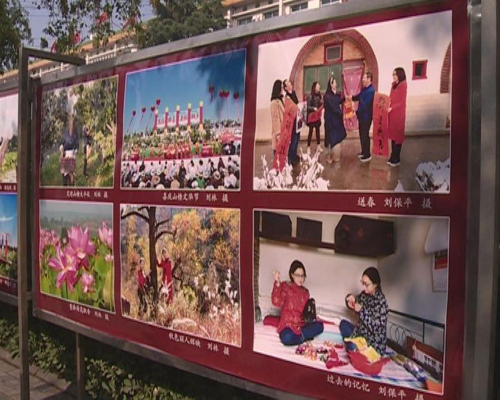 逃离野丛之森