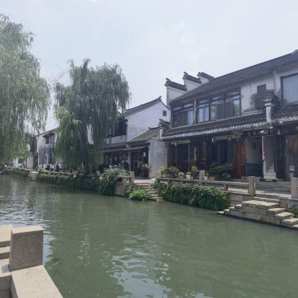 寻找沙漠珍宝